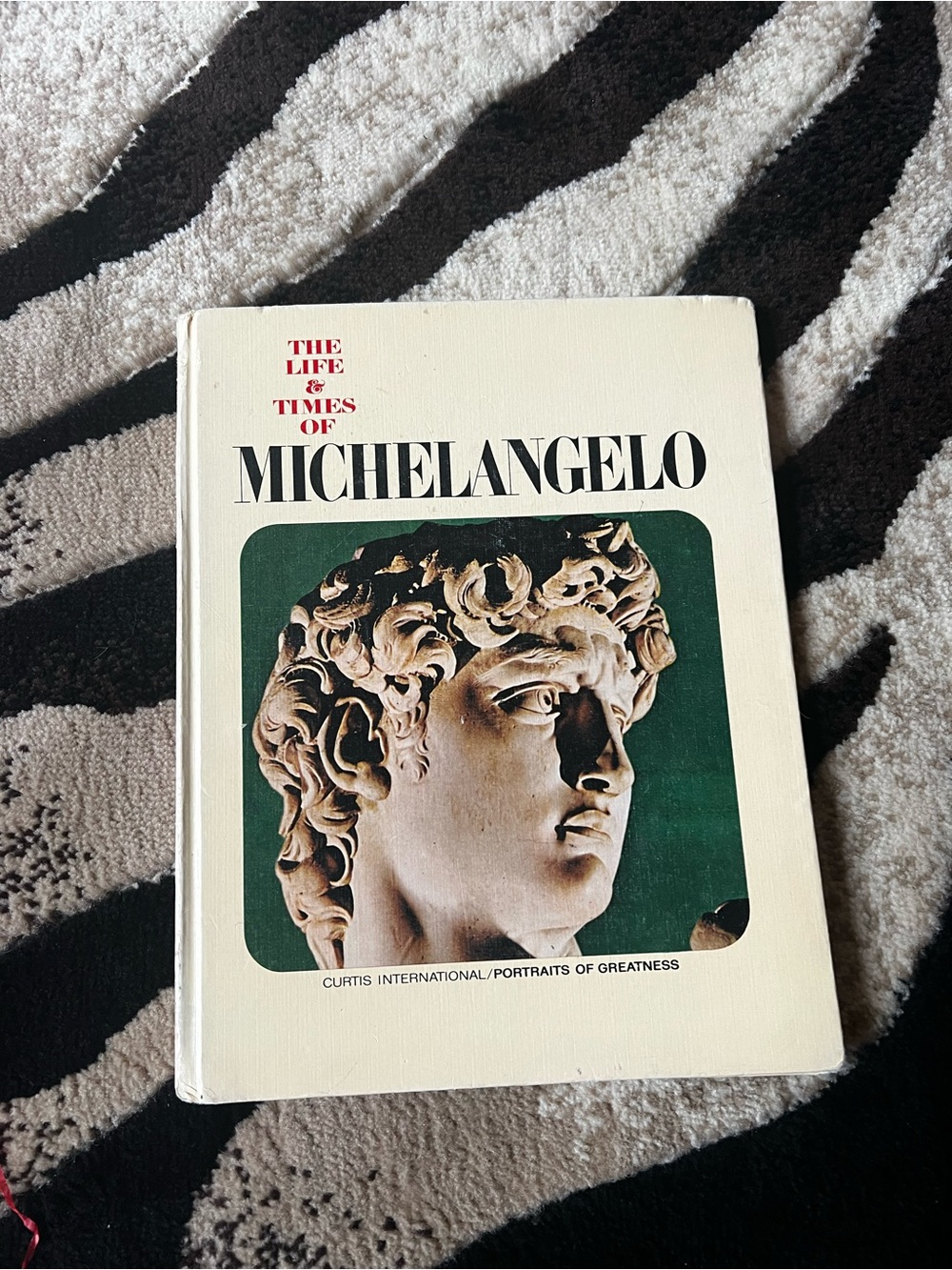 Vintage 1967 The Life & Times Of Michelangelo Hardcover Old Portraits Book